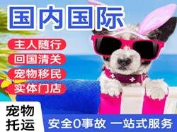 上海浦东机场空运国际宠物托运 【国